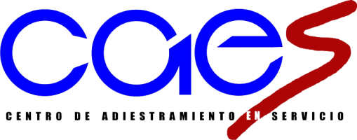 Aulas Virtuales CAES